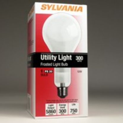 Picture of PS30 Light-Bulb Shape Frosted-Glass Finish