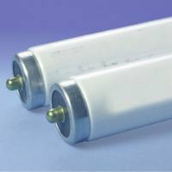 Picture of Light-Bulb 59W 96" MOL T-8 OCTRON 5000-k