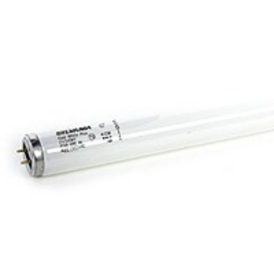 Picture of Light-Bulb Fluorescent-bulb Tube T-12 4100-k Rapid-start
