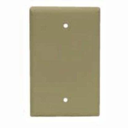 Picture of Wall-Plate Blank