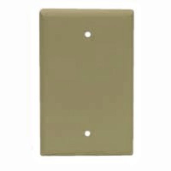 Picture of Wall-Plate Blank
