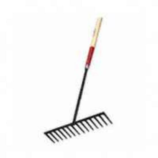 Picture of Asphalt Rake