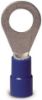 Picture of Ring-Terminal BLUE