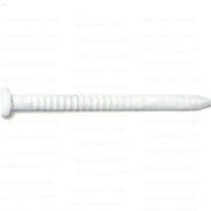 Picture of Panel-nail White #1-5/8"