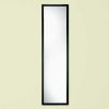 Picture of 812BK Mirror Door Black 13" x 49"