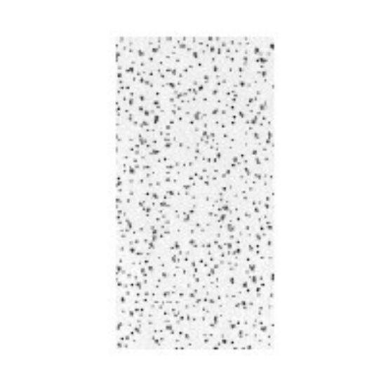 Picture of Ceiling-Tile Radar Acoustic 2' x 4' x 5/8"