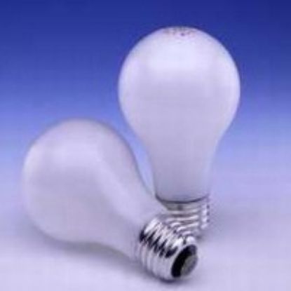 Picture of Light-Bulb 100 W A-19 Light-Bulb Rough-Service