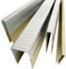 Picture of 1 PK 2" Galvanized Steel Staple
