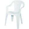 Picture of White Low Back Lawn-Chair Stackable
