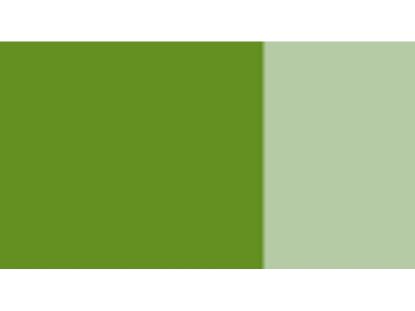 Picture of Super Heavy-Body-Color Light-Green Permanent