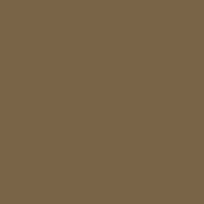 Picture of Premier Colored-Pencil Light Umber