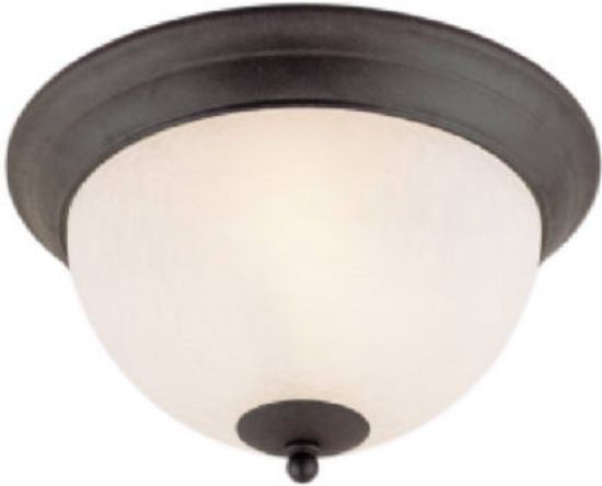 Picture of 2-Bulb Brick Ceiling-Fixture