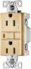 Picture of Electrical-Outlet 15-Amp 125-Volt Self-Test Duplex-Receptacle Ivory
