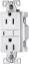 Picture of 15-Amp 125-Volt -Receptacle Self-Test Double-Pole 3-Wire White