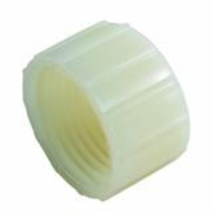 Picture of NYLON GH CAP 3/4"