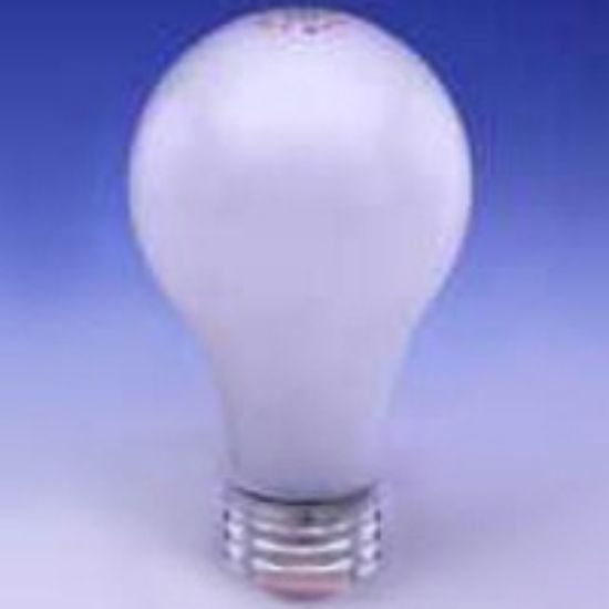 Picture of Light-Bulb Grow Bulb A-19