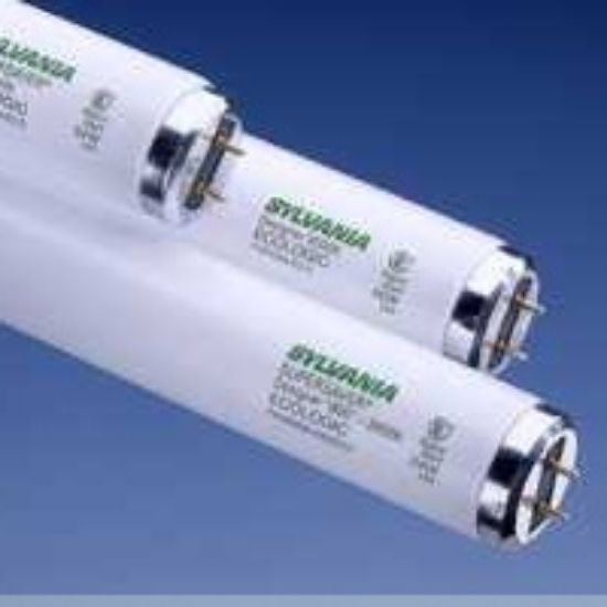 Picture of Light-Bulb Plant/Aquarium T-12 Med Bi-Pin