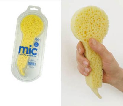 Picture of MIC Sponge- Sing in the Shower