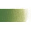 Picture of ­™Winton™ Artists-Oil-Paint Terre Verte