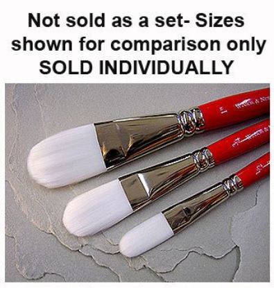 Picture of University Brush 210 Oval Wash White Nylon Short Handle 1"