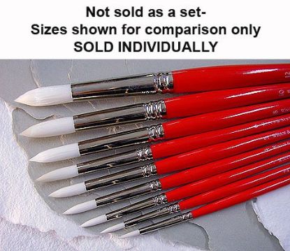 Picture of University Brush 235 Round Long-Handle 5