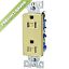 Picture of Electrical-Outlet Decorator Duplex-Receptacle 15-Amp Tamper-Resistant Ivory