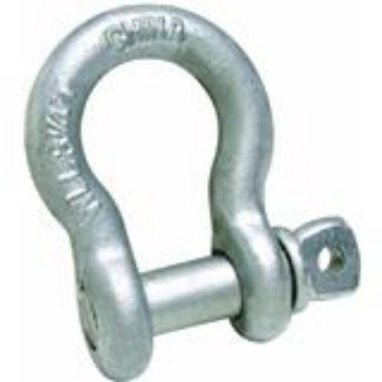 Picture of 7/8" Anchor-Shackle