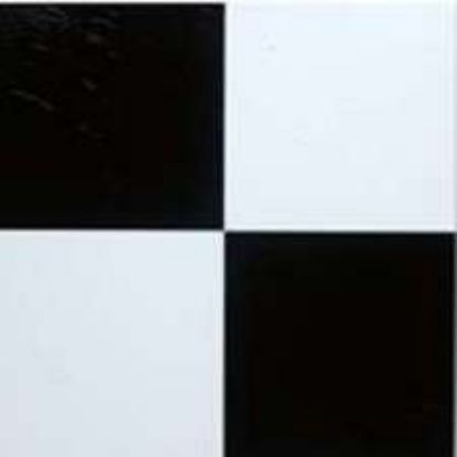 Picture of Black/white Vinyl Floor-Tile