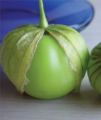 Picture of Tomatillo Gigante Verde Spanish