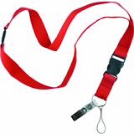 Picture of Flat Lanyard 18" 1/cd Asst