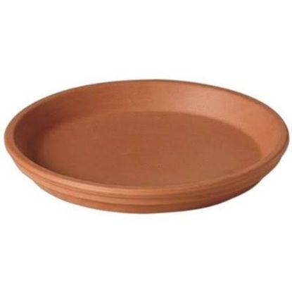 Picture of Plant-Saucer Plant Terra-Cotta Natural 6"