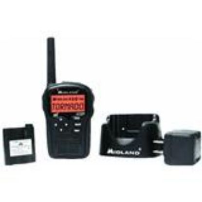 Picture of Portable Weather-Radio