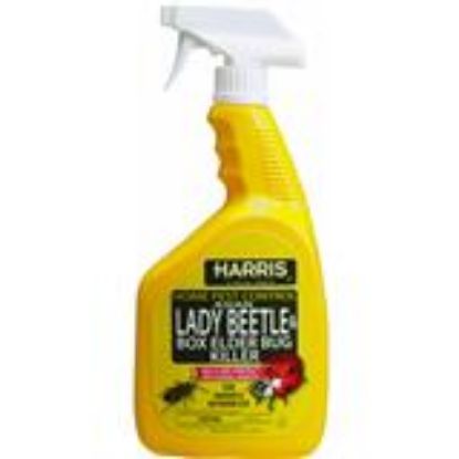 Picture of Asian Beetle And Box Elder Insect-Killer