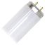 Picture of F14T12 15" Straight Fluorescent