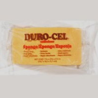 Picture of Turtleback-Sponge HD