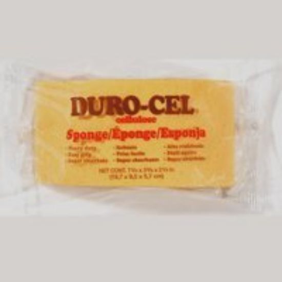 Picture of Turtleback-Sponge HD