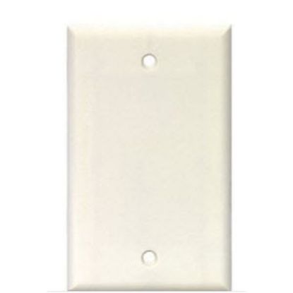 Picture of Wall-Plate Blank Plastic