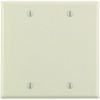 Picture of Wall-Plate Blank Standard Plastic
