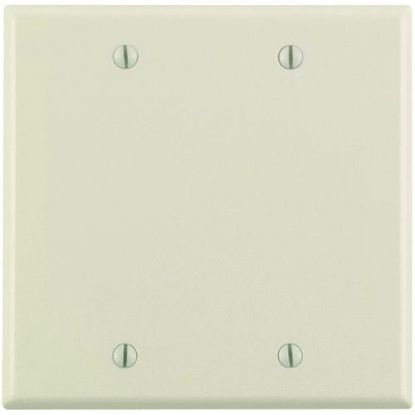 Picture of Wall-Plate Blank Standard Plastic