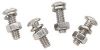 Picture of License-Plate Fasteners