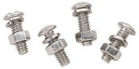 Picture of License-Plate Fasteners