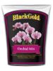 Picture of Potting-Soil Orchid