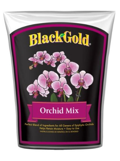 Picture of Potting-Soil Orchid