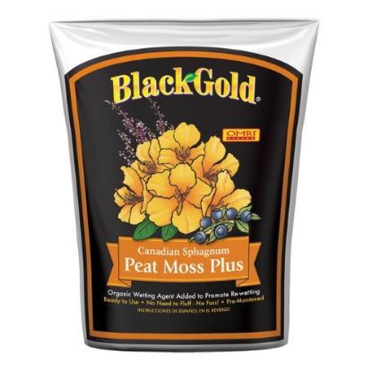 Picture of Sphagnum Peat-Moss