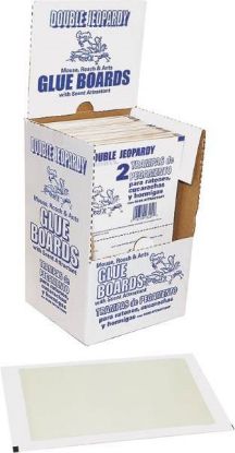 Picture of Glue-Trap