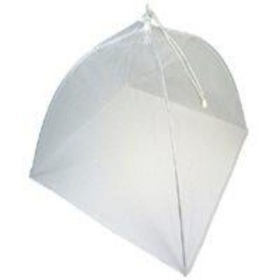 Picture of Food-Umbrella