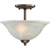 Picture of 2-bulb Light-fixture Semi-flush-mount Venetian Bronze