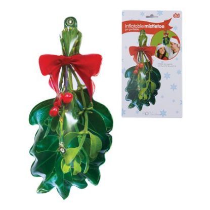 Picture of Infaltable Misteltoe