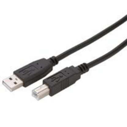 Picture of USB 2. AB 6' B