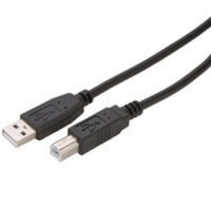 Picture of USB 2. AB 10' B
